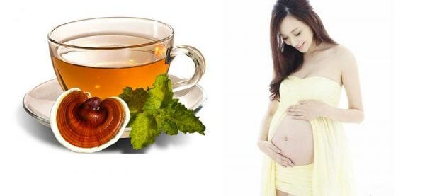 Giải đáp thắc mắc: “Phụ nữ mang thai có nên sử dụng nấm linh chi”